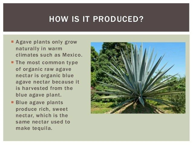 how to make agave nectar