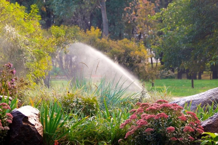Best Automatic Water Sprinkler for Garden