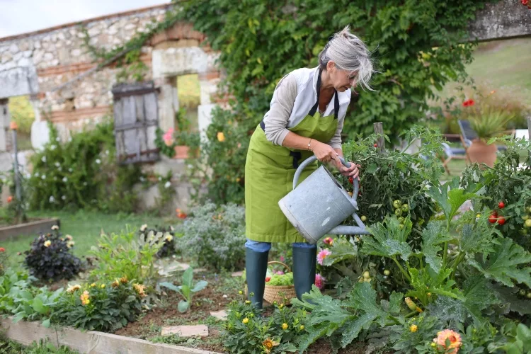 Should I water vegetable garden every day?