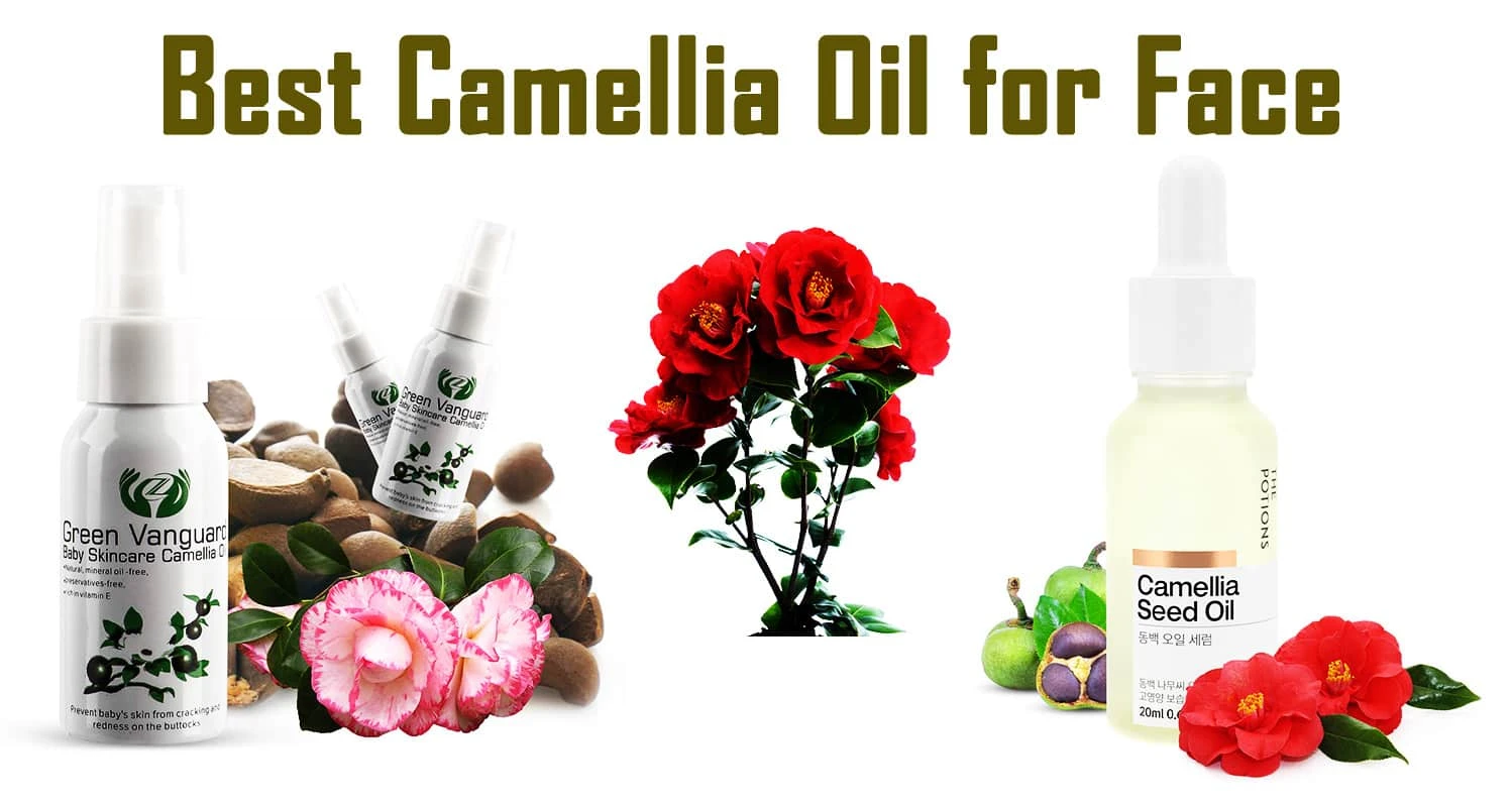 Top 10 Best Camellia Oil for Face Reviews
