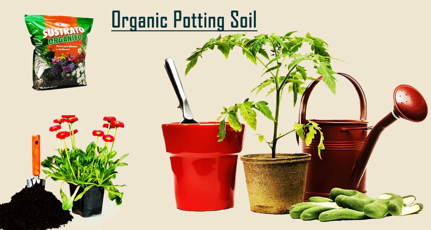 13 Best Organic Potting Soil Reviews