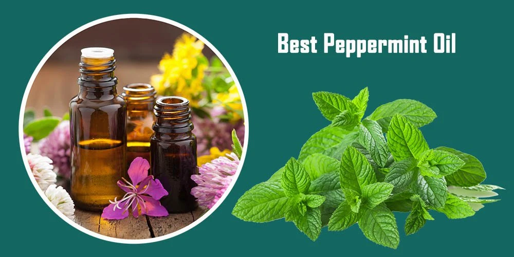Best Peppermint Oil Reviews