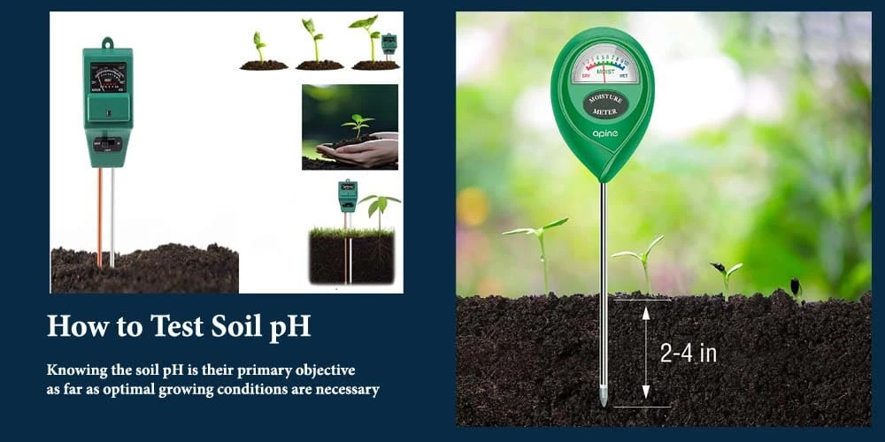 How to Test Soil pH-An Idea