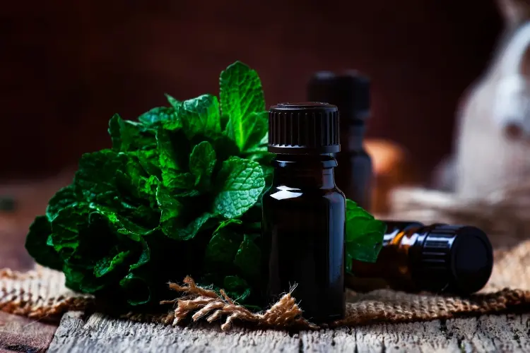Why a Need for Aroma Zone Alternatives to Trade Natural Essential Oils?