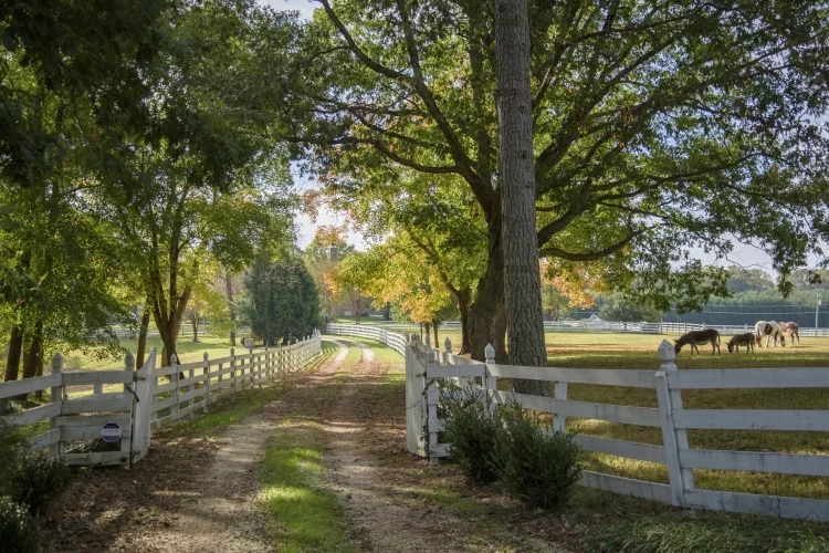 Financing your Farm