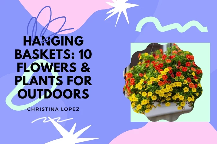 Best Plants for Hanging Baskets for Outdoors: