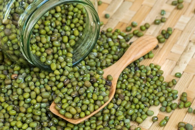 Mung bean: