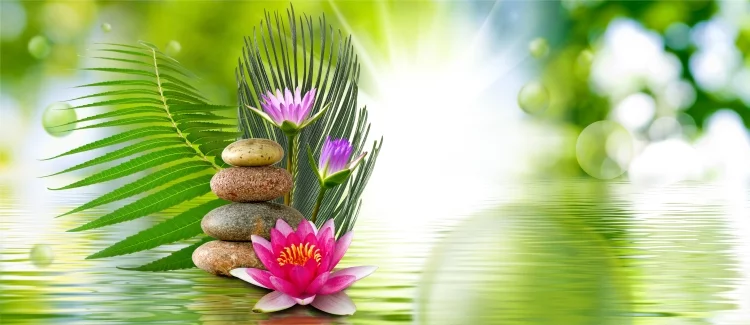 Beautiful flower and stones on water