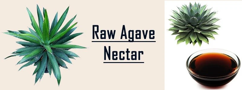 raw agave nectar