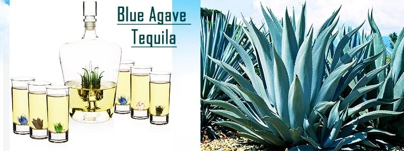 blue agave tequila