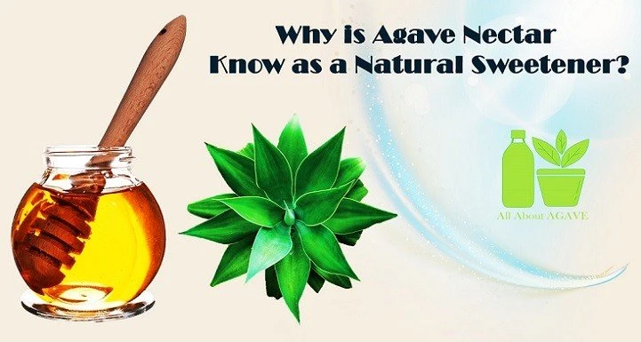 why is agave nectar known as a natural sweetener