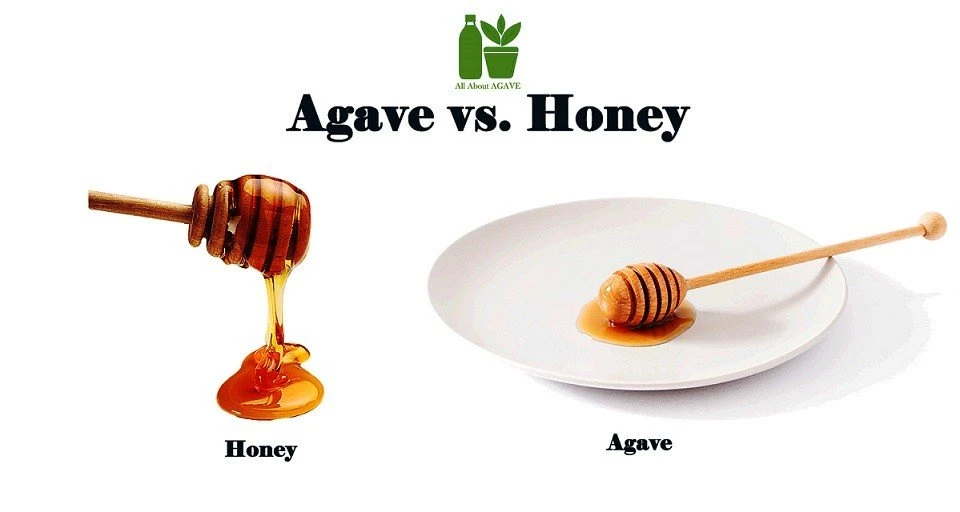 agave vs honey