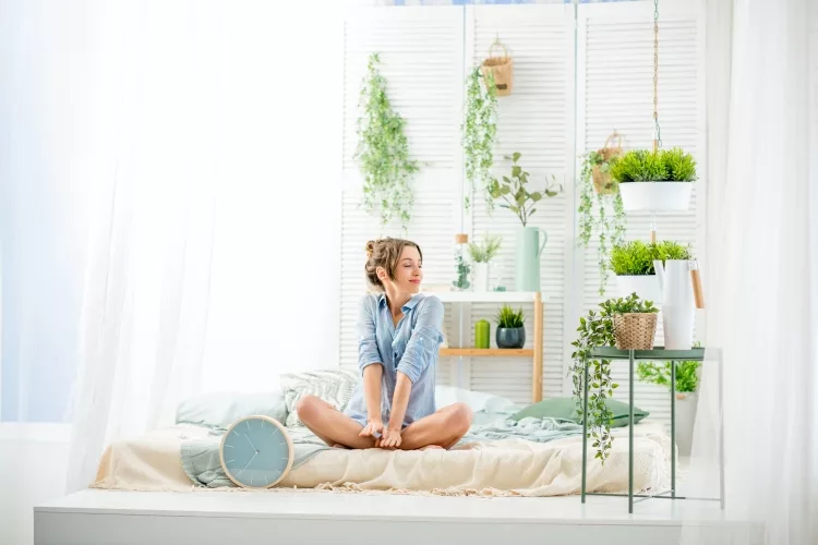 Benefits of indoor plants