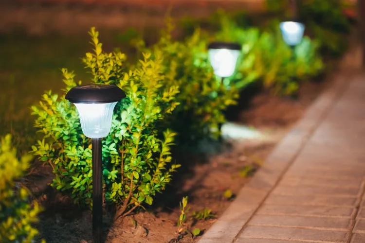 Best solar lights for home in india: