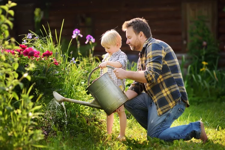 How often should vegetables be watered?