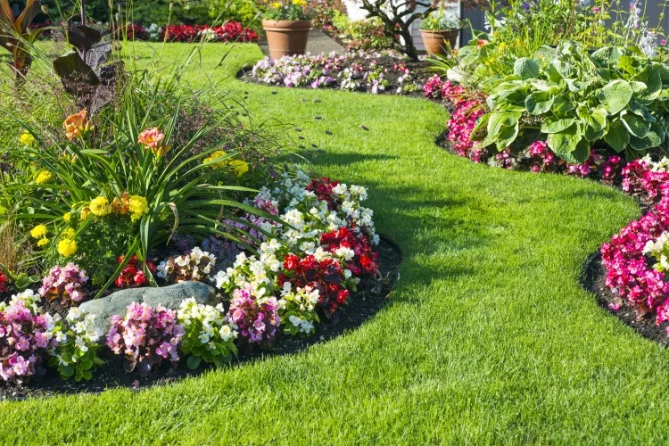 Top 9 Best Flowers Bed Liners