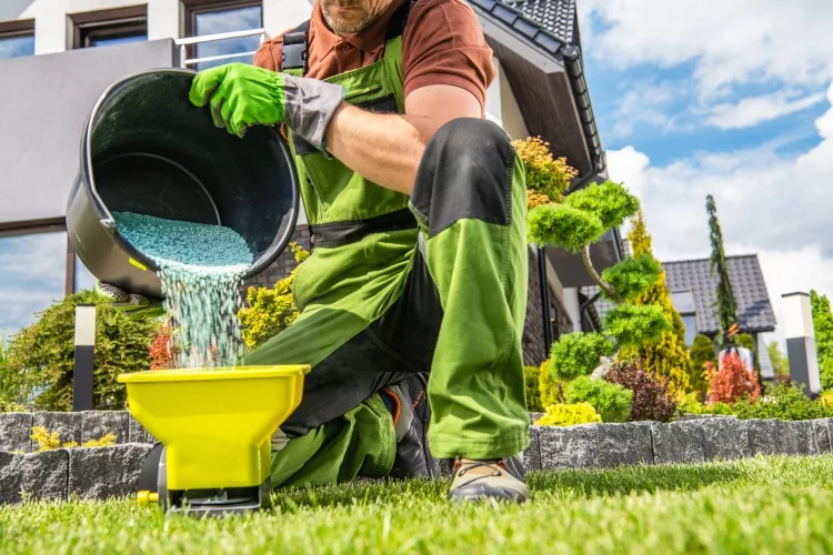 Top 10 Best Lawn Fertilizers