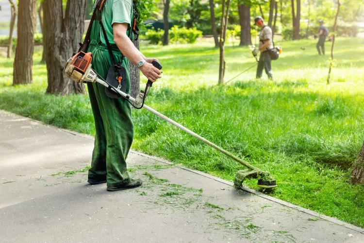 Best Commercial Weed Eater: Reviews, Buying Guide and FAQs 2021