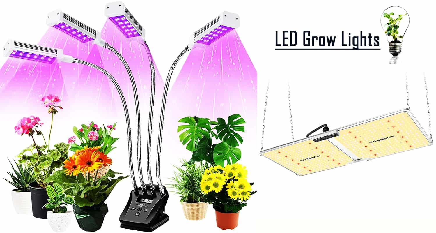 10 Best LED Grow Lights Review