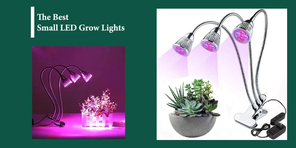 Best Small LED Grow Lights