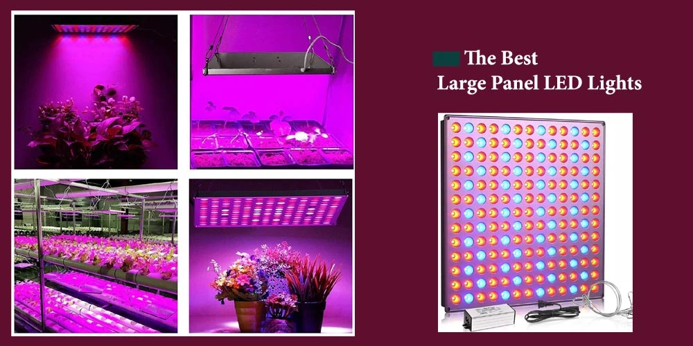 Best Large Panel LED Lights