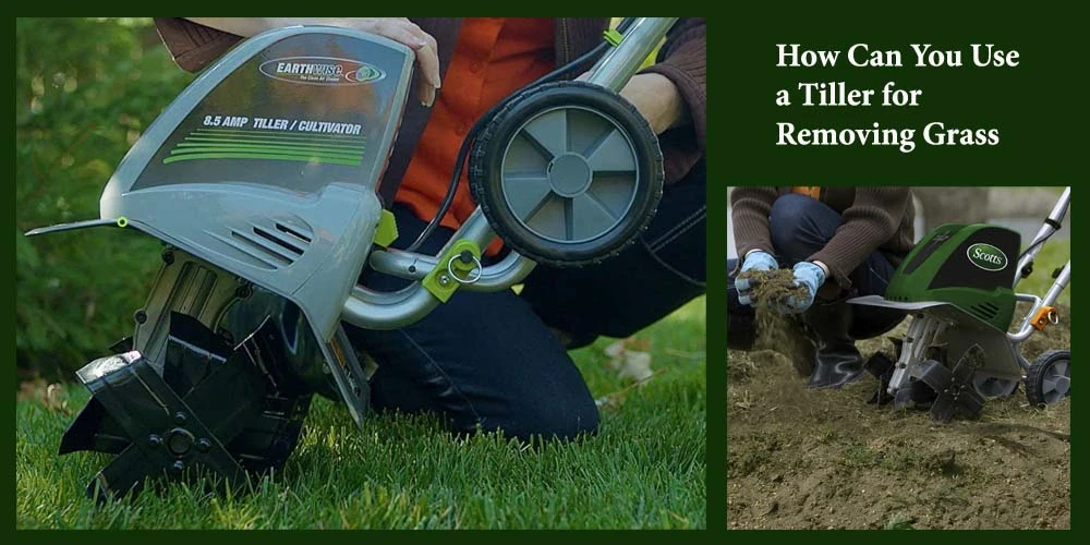 Use A Tiller For Removing Grass