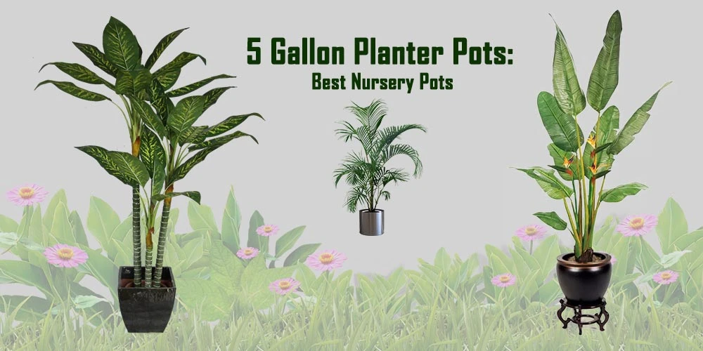 5 Gallon Planter Pots: Best Nursery Pots