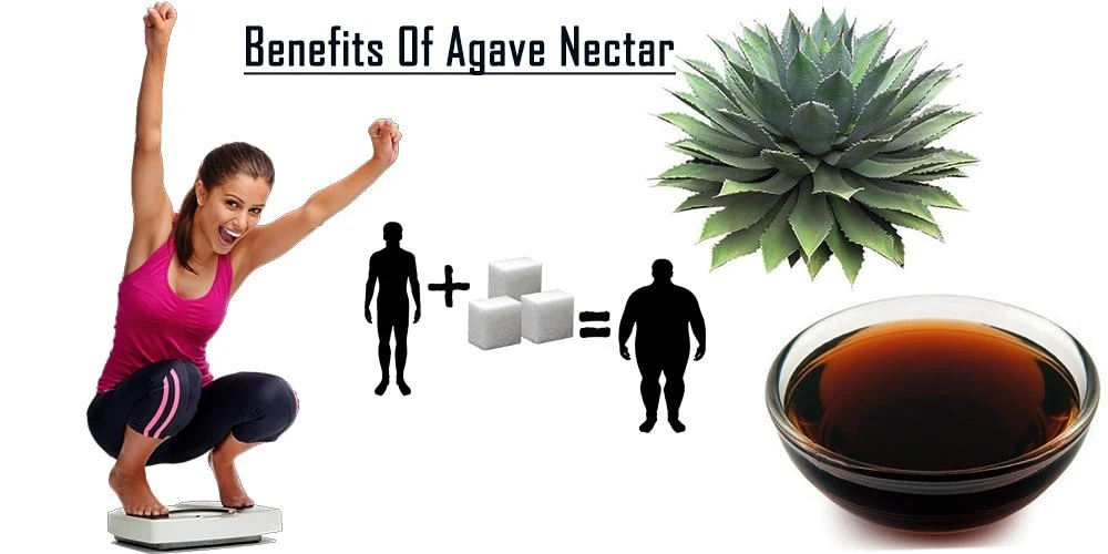 Benefits Of Agave Nectar