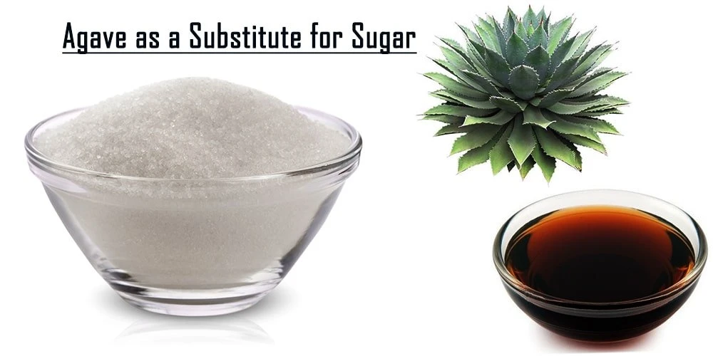 Using Agave As A Substitute For Sugar