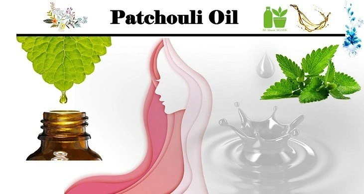 Patchouli Oil