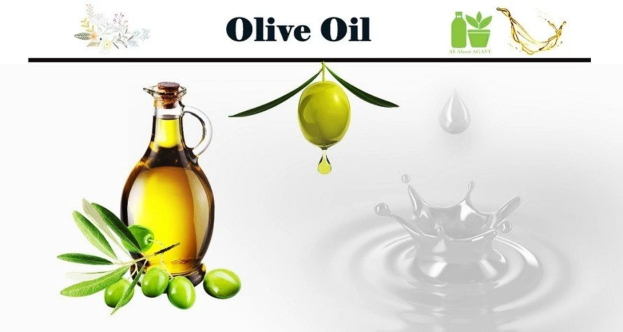 Olive Oil