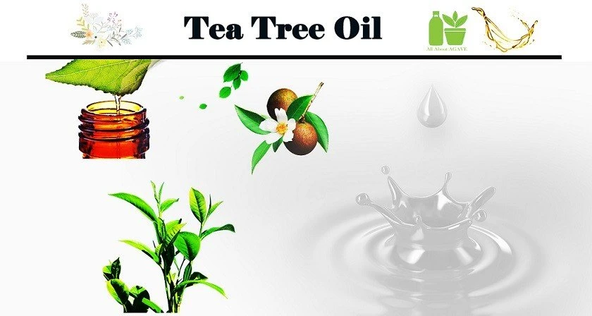 Tea Tree Oil