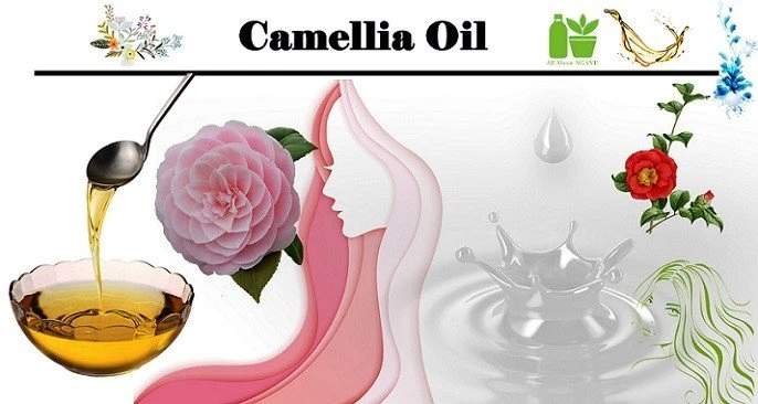 Camellia Oil