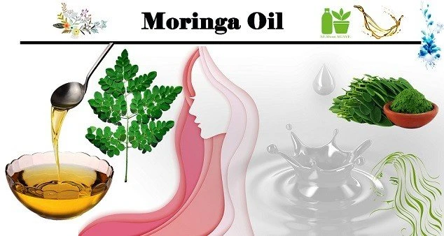 Moringa Oil