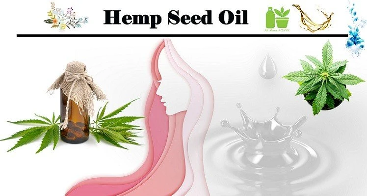 Hemp Seed Oil