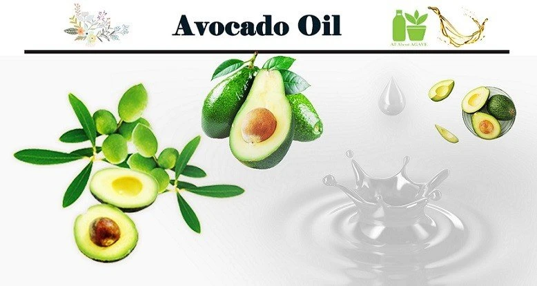 Avocado Oil