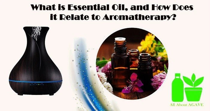 What Is Essential Oil, And How Does It Relate To Aromatherapy