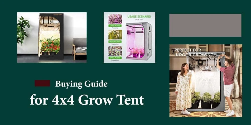 Buying Guide For 4x4 Grow Tent 