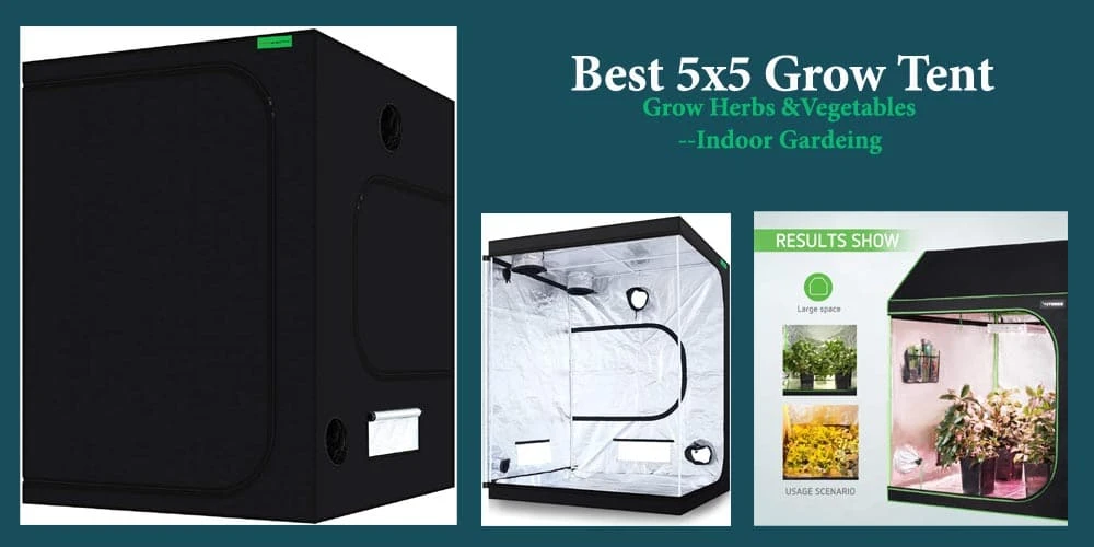 13 Best 5X5 Grow Tent Reviews