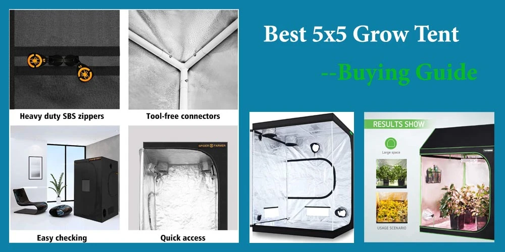 Buying Guide Best 5x5 Grow Tent