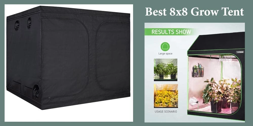 7 Best 8X8 Grow Tent Reviews