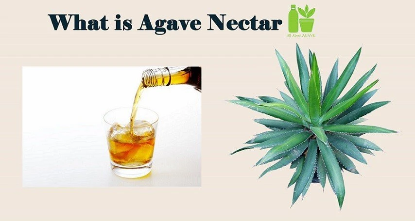 What Is Agave Nectar