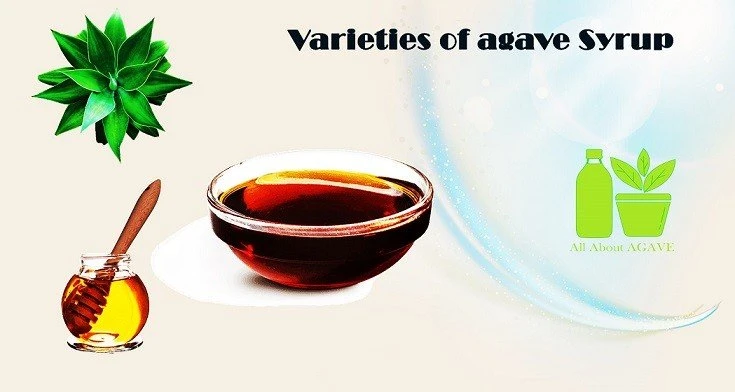 Varieties Of Agave Syrup