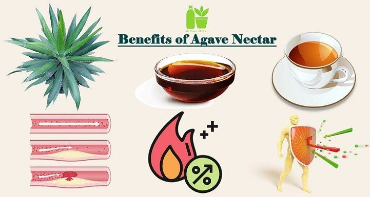 Benefits Of Agave Nectar