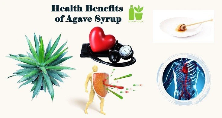 Health Benefits Of Agave Syrup