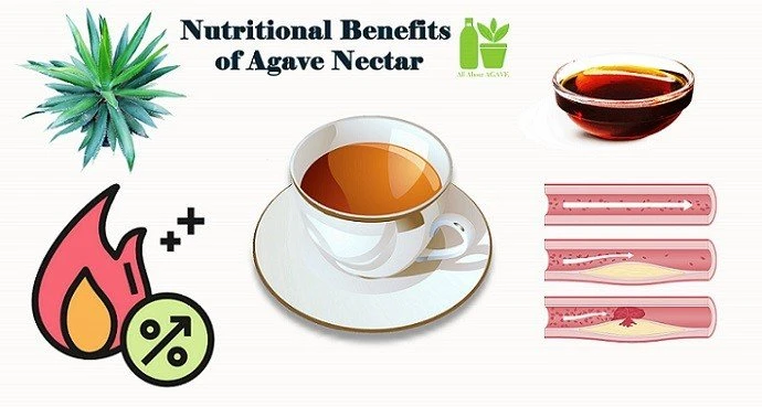 Nutritional Benefits Of Agave Nectar