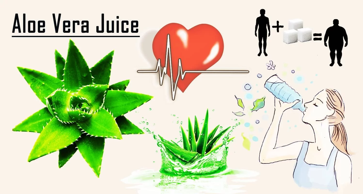 15 Best Aloe Vera Juice Reviews