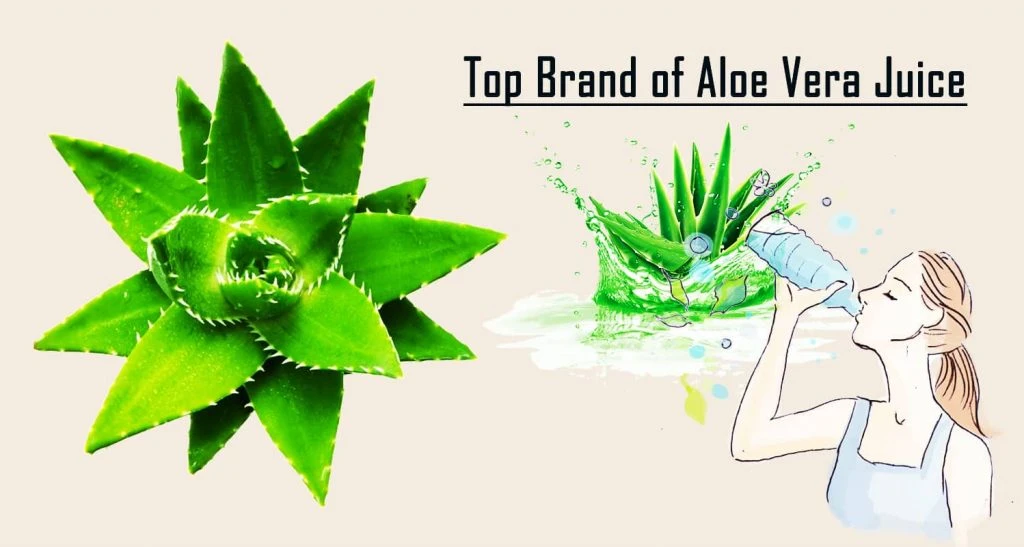 Best Aloe Vera Brands