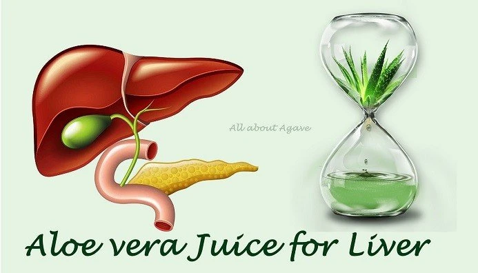 Aloe Vera Juice For Liver