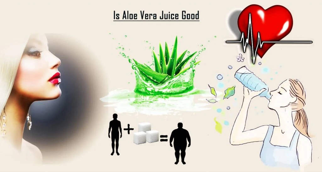 Top 15 Best Aloe Vera Juice Reviews